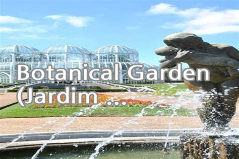  Il Giardino Botanico di Suihua: Un'oasi di pace immersa nella natura selvaggia!