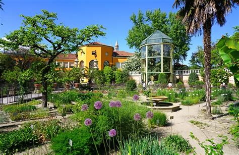  Il Giardino Botanico: Un Ritrovo di Pace e Una Spettacolare Diversità