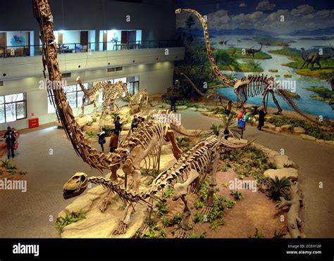 Il Museo del Dinosaurio di Zigong: Un viaggio nel tempo tra fossili e illusioni!