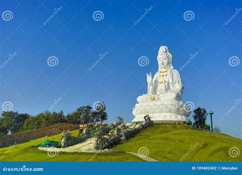 Il Tempio di Guanyin: Una Splendida Oasi di Pace e Spiritualità nella Città di Binzhou!