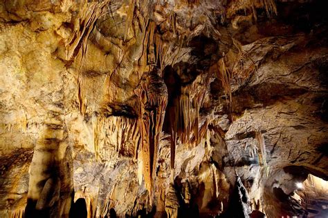 Le Grotte di Tianlongshan: Un viaggio nella preistoria e un'avventura mozzafiato!